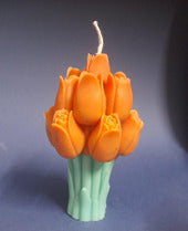 Tulip